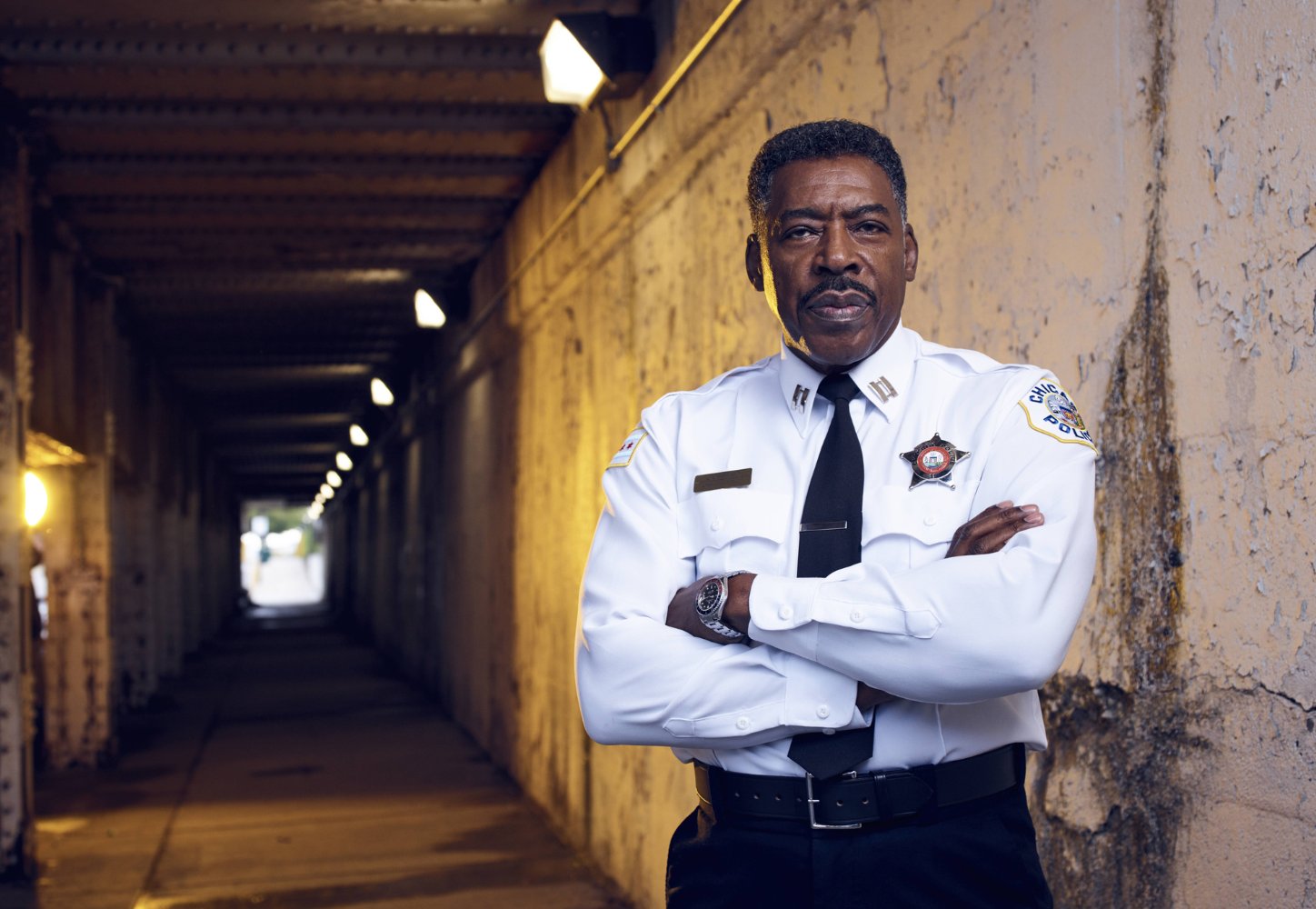 Ernie Hudson