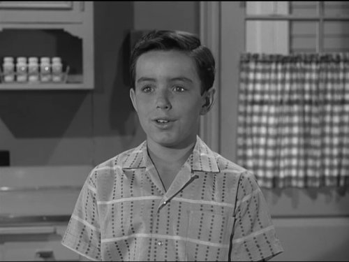 Jerry Mathers