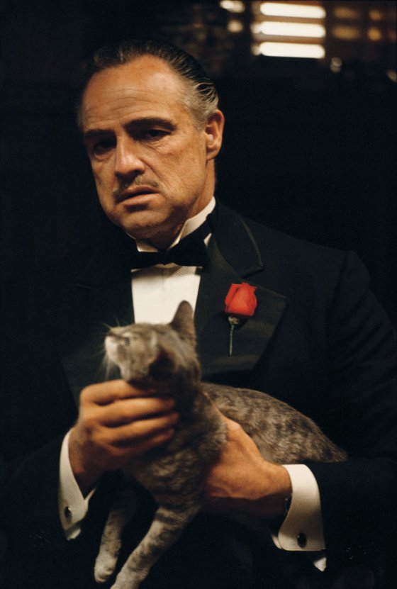 Don Vito Corleone