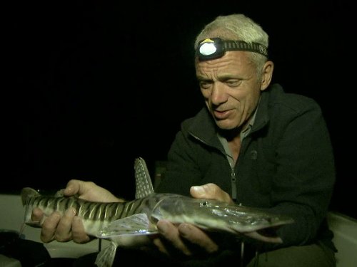 Jeremy Wade