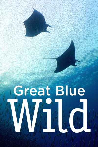Great Blue Wild&nbsp;- Season 2