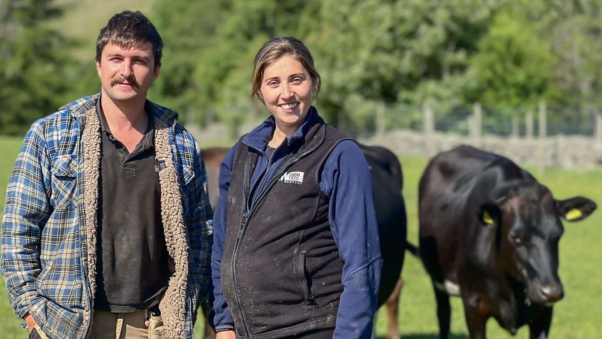 Season 8
