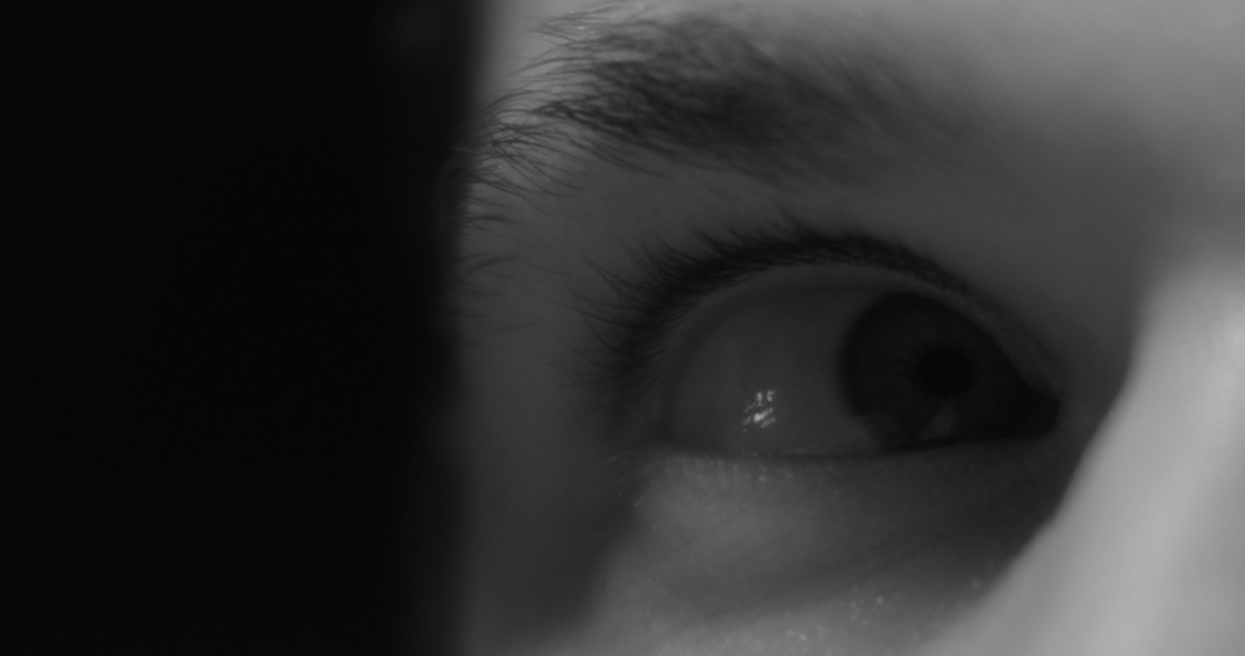 Francesco Zippel