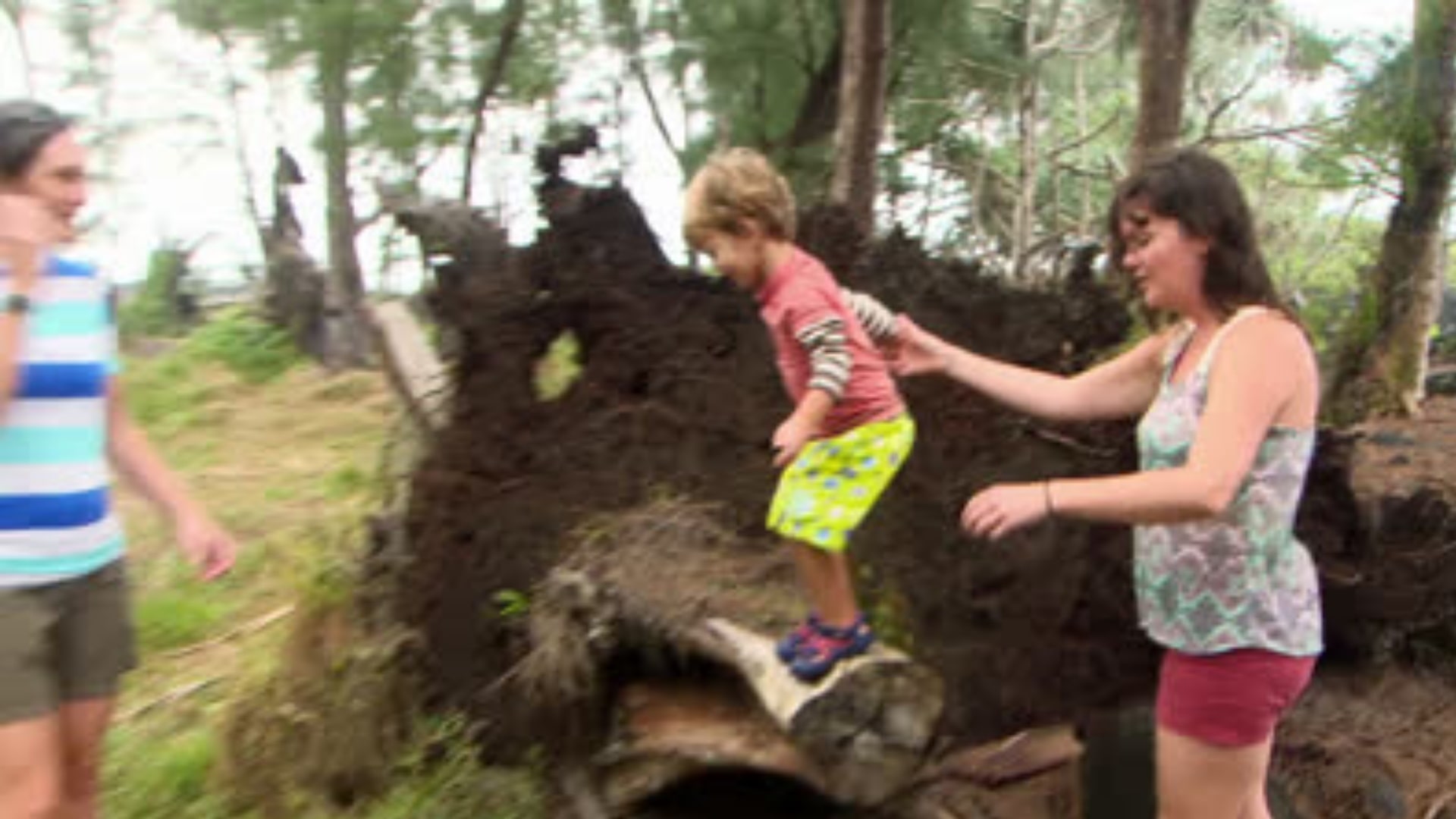Season 4