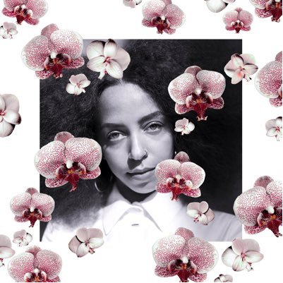 Hayley Law