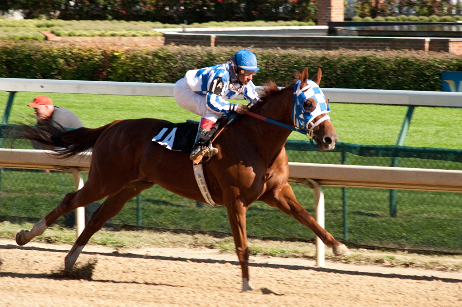 Ronnie Turcotte