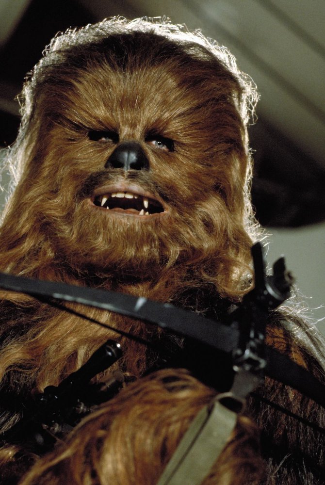 Peter Mayhew