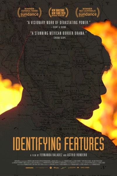 Identifying Features (Sin señas particulares)