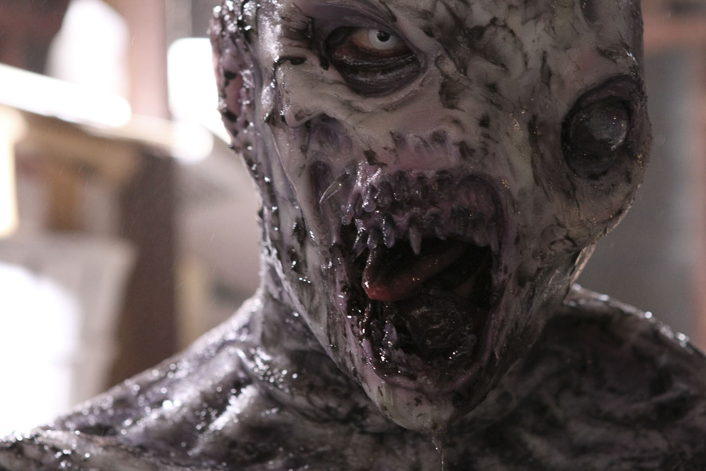 The Creature